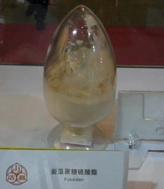 Китай экстракт коричневых морских водорослей фукоидан поставщик