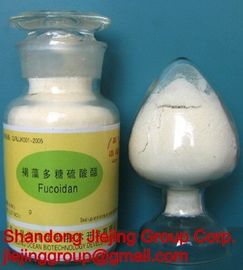 Китай коричневые водоросли fucoidan поставщик