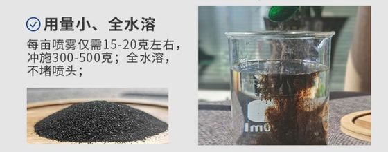 Удобрение из экстракта морских водорослей Ascophyllum Nodosum поставщик