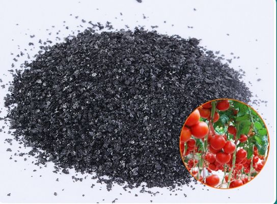 удобрение из экстракта морских водорослей ascophyllum поставщик