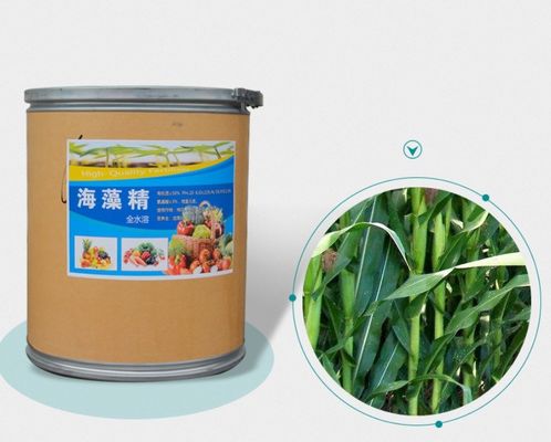 Удобрения на основе экстракта ASCOPHYLLUM NODOSUM поставщик