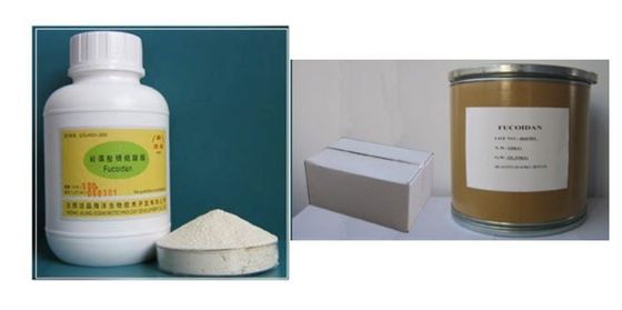 Большая часть порошка Fucoidan поставщик