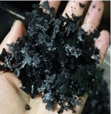 ЭКСТРАКТ морских водорослей поставщик
