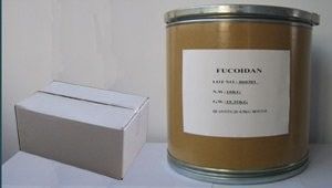 экстракт коричневых морских водорослей фукоидан поставщик