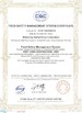 Shandong Jiejing Group Corporation